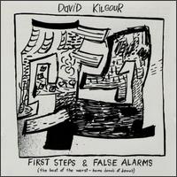 David Kilgour - First Steps & False Alarms lyrics