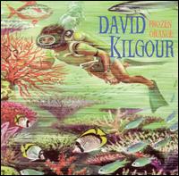 David Kilgour - Frozen Orange lyrics