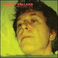 Robert Pollard - From a Compound Eye lyrics