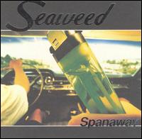Seaweed - Spanaway lyrics