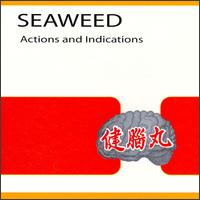 Seaweed - Actions & Indications lyrics