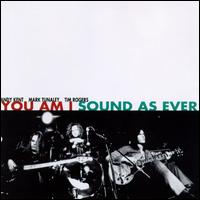 You Am I - Sound as Ever lyrics