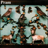Pram - The Museum of Imaginary Animals lyrics