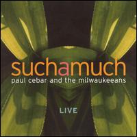 Paul Cebar - Suchamuch lyrics