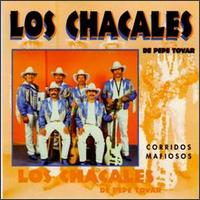 Chacales de Pepe Tovar - Corridos Mafiosos lyrics