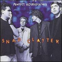 Perfect Houseplants - Snap Clatter lyrics