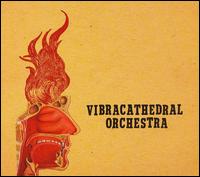 Vibracathedral Orchestra - Wisdom Thunderbolt lyrics