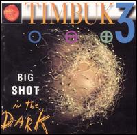 Timbuk 3 - Big Shot in the Dark lyrics