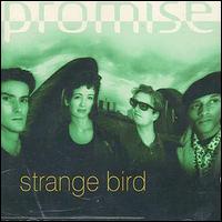 Promise - Strange Bird lyrics