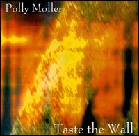 Polly Moller - Taste the Wall lyrics