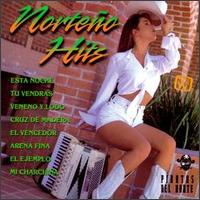 Piratas Del Norte - Norteno Hits lyrics