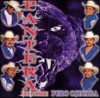 Pantera Del Norte - Puro Ojinaga lyrics