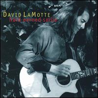 David LaMotte - Hard Earned Smile lyrics