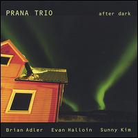 Prana Trio - After Dark lyrics