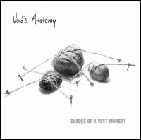 Void's Anatomy - Shades of a Vast Moment lyrics
