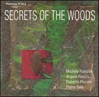Angelo Rocchi - Secrets of the Woods lyrics