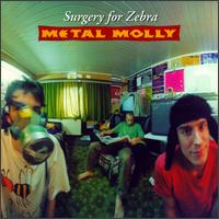Metal Molly - Surgery for Zebra lyrics