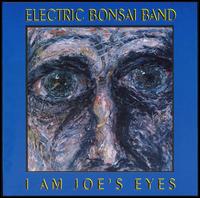 Electric Bonsai Band - I Am Joe's Eyes lyrics