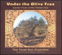 Yuval Ron - Under the Olive Tree lyrics