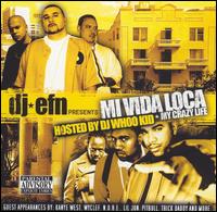 DJ EFN - Mi Vide Loca lyrics