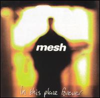 Mesh - In This Place Forever lyrics
