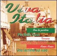 The Digital Orchestra - Viva Italia lyrics