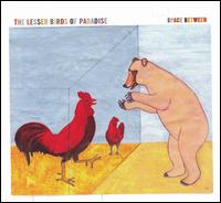 Lesser Birds of Paradise - Space Between lyrics