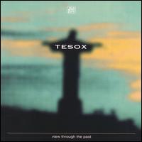 Tesox - View Through the Past lyrics