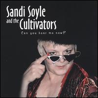 Sandi Soyle - Can You Hear Me Now lyrics