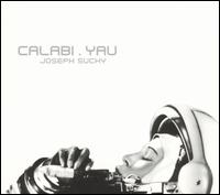 Joseph Suchy - Calabi.yau lyrics