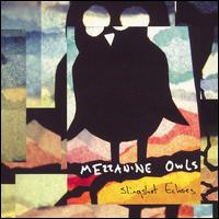 Mezzanine Owls - Slingshot Echoes lyrics