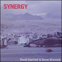 David Satchell - Synergy lyrics