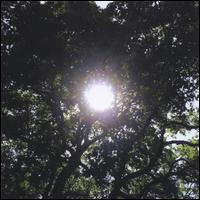 The Servant Sun - Cold Harbor lyrics