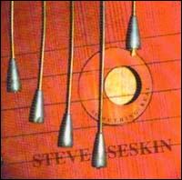 Steve Seskin - Something Real lyrics