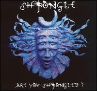 Shpongle - Are You Shpongled? lyrics