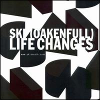 Dominic "Ski" Oakenfull - Life Changes lyrics