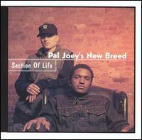 Pal Joey - Section of Life lyrics