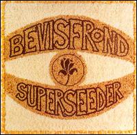 The Bevis Frond - Superseeder lyrics