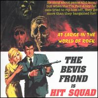 The Bevis Frond - Hit Squad lyrics