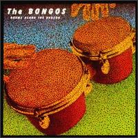 The Bongos - Drums Along the Hudson lyrics