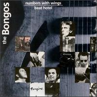 The Bongos - Numbers with Wings lyrics