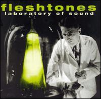 The Fleshtones - Laboratory of Sound lyrics