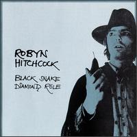 Robyn Hitchcock - Black Snake Diamond Role lyrics