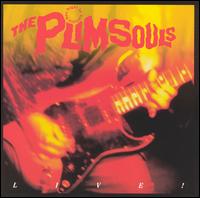 The Plimsouls - One Night in America [live] lyrics