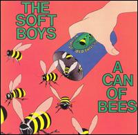 The Soft Boys - A Can of Bees lyrics