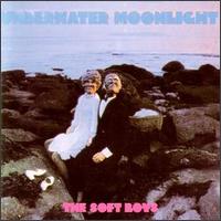 The Soft Boys - Underwater Moonlight lyrics