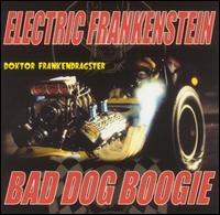 Electric Frankenstein - Doktor Frankendragster lyrics