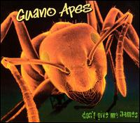Guano Apes - Don't Give Me Names lyrics