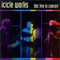 Icicle Works - BBC Live in Concert lyrics