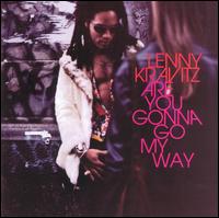 Lenny Kravitz - Are You Gonna Go My Way lyrics